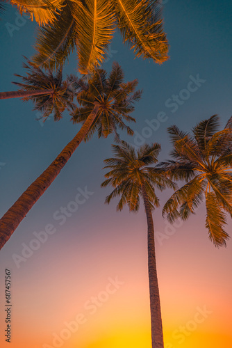 Copy space of fantastic tropical palm tree with sun light on sky background. Colorful dream sky and palm trees view from below, vintage style, tropical beach and summer background, travel inspiration