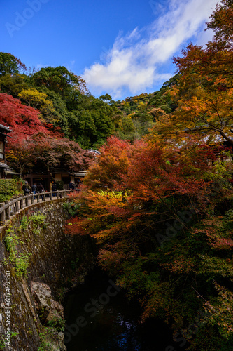 紅葉狩り