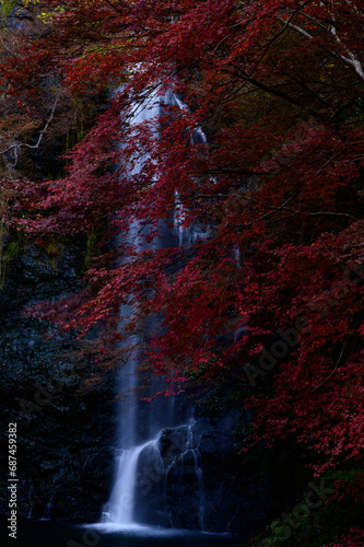 紅葉狩り