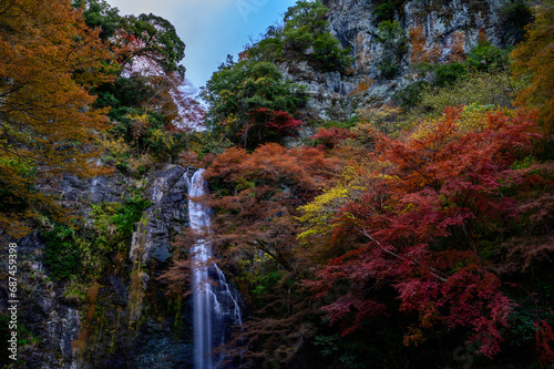 紅葉狩り