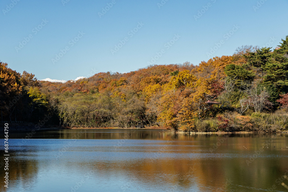 湖と紅葉した山