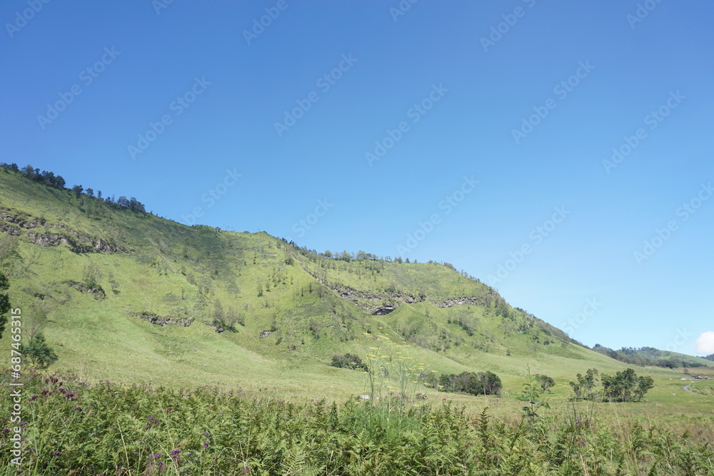 forest in the mountains.Summer mountain and sky view landscape.