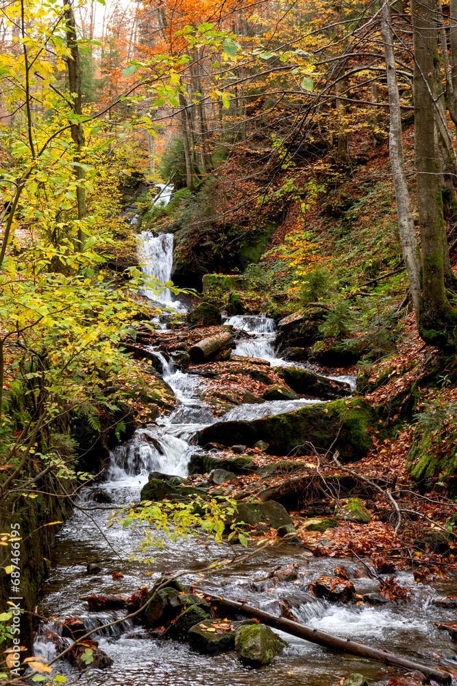 An autumn stream flowing through a colorful autumn forest An autumn stream flowing through a colorful autumn forest