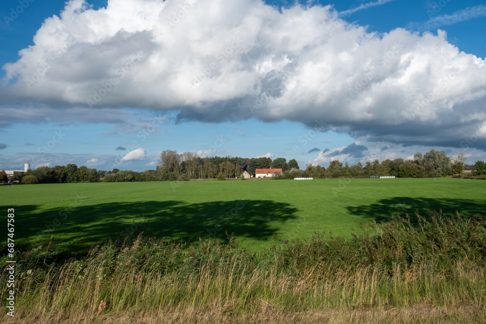 A vibrant image portraying the vastness of a green field under a dynamic sky filled with cumulus clouds. The shadows of the clouds add depth to the scene, while a distant farmhouse and trees hint at