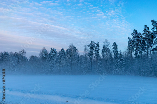 beautiful winter landscape, blue hour, dusk © ANDA