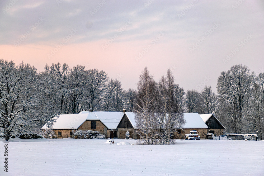 beautiful winter landscape, blue hour, dusk