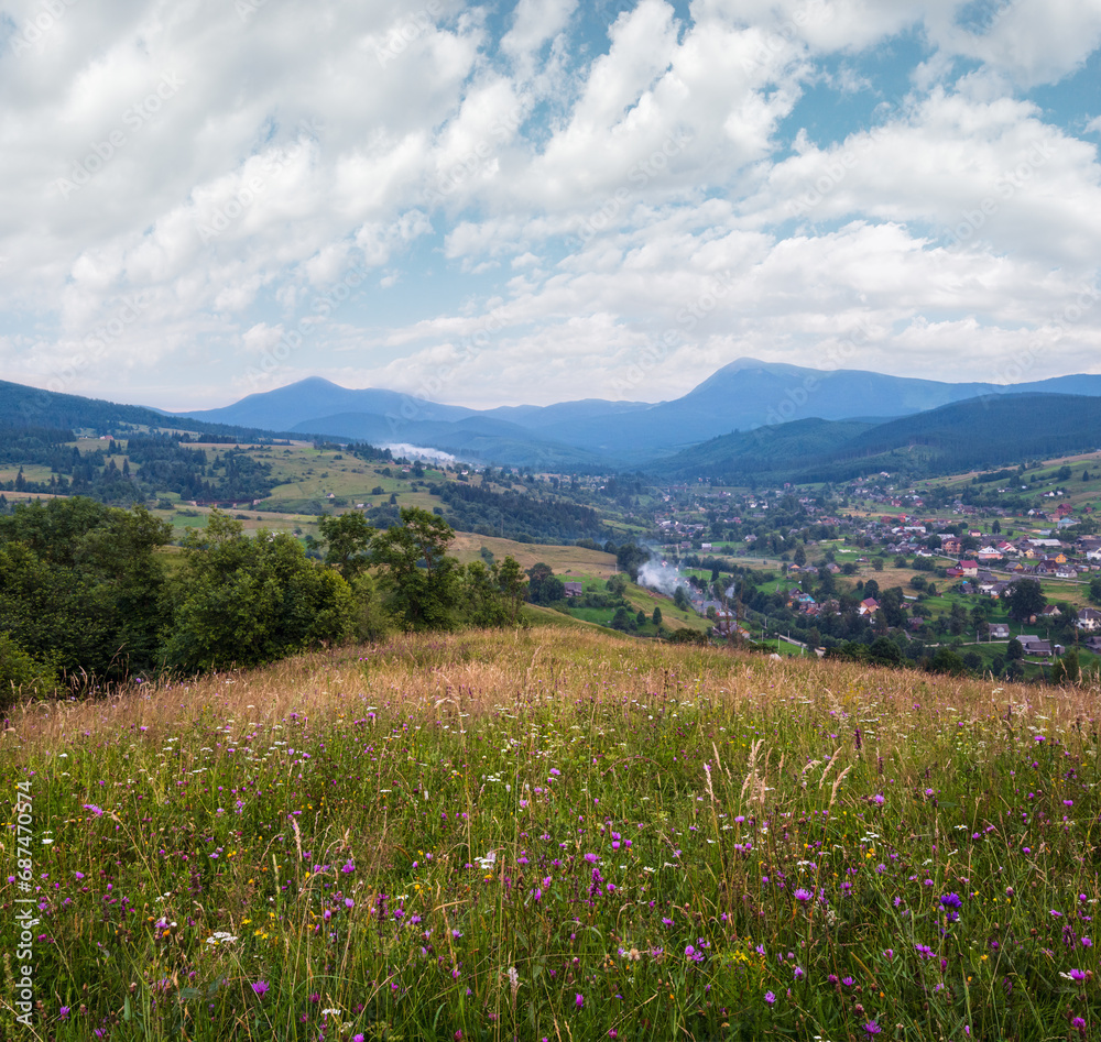 Picturesque summer Carpathian mountain countryside meadows. with beautiful wild flowers