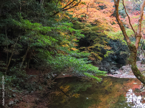 紅葉した秋山と水面に映る紅葉
