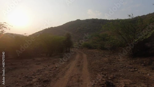 Going on the road while the sun sets beautifully in Ranthambore national park photo