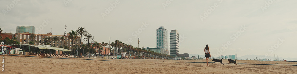 Lunch time. cute girl is sitting on the sand on the beach with her pet testing sandwich. The girl treats her dog with sandwich. Lunch on the beach on modern city background