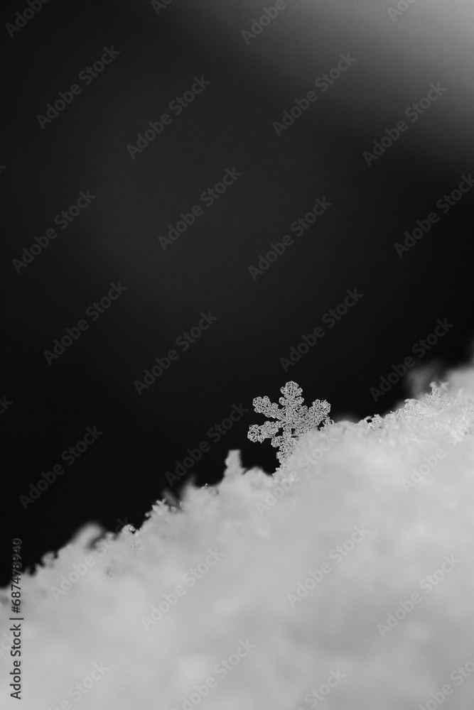 A beautiful real snowflake. Snow in nature. Macro photo in winter. Concept for Christmas and holidays. A beautiful real snowflake. Snow in nature. Macro photo in winter. Concept for Christmas and holidays.