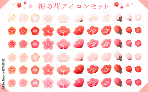 グラデーションが綺麗な梅の花アイコンセット photo