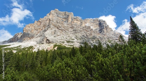 View of Monte Pelmo with forest © Daniel Prudek