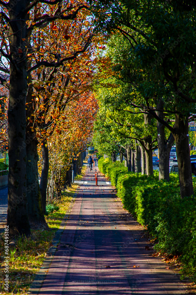 Naklejka premium autumn in the park