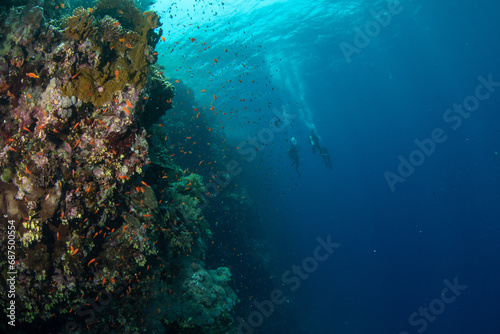 A couple of divers exploring the wall of coral reef, St John´s Reef, Red Sea, Egypt 
