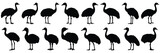 Ostrich bird silhouettes set, large pack of vector silhouette design, isolated white background
