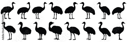 Ostrich bird silhouettes set, large pack of vector silhouette design, isolated white background