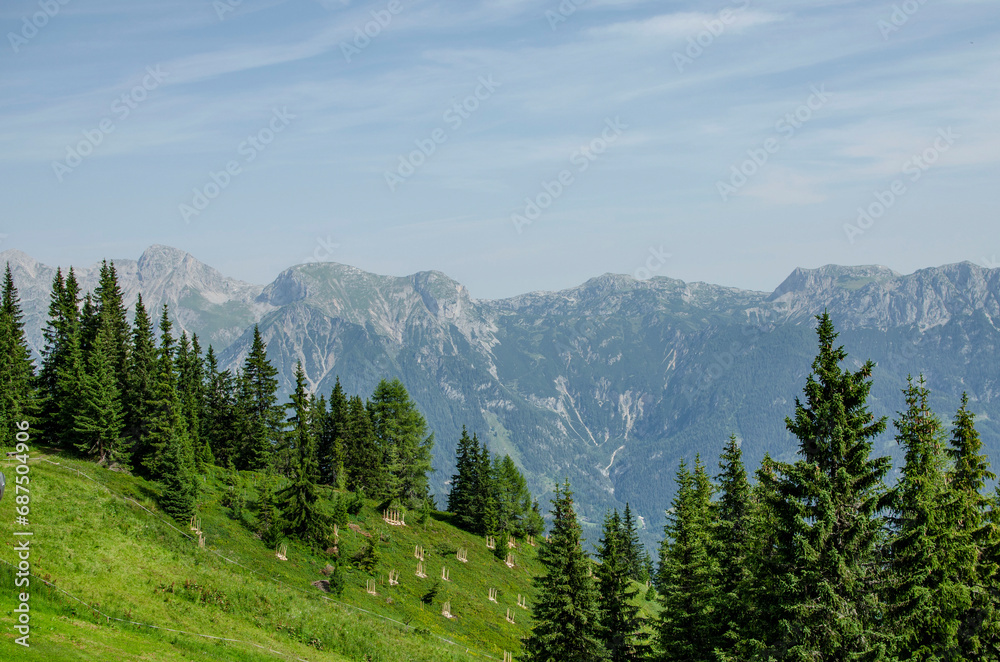 Fototapeta premium Alpine landscape