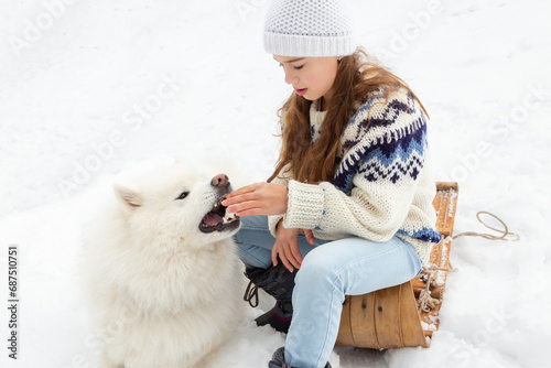 Selective focus horizontal view of little blond girl in winter clothes sitting on a vintage wooden sled feeding a treat to her gorgeous samoyed dog © Anne Richard