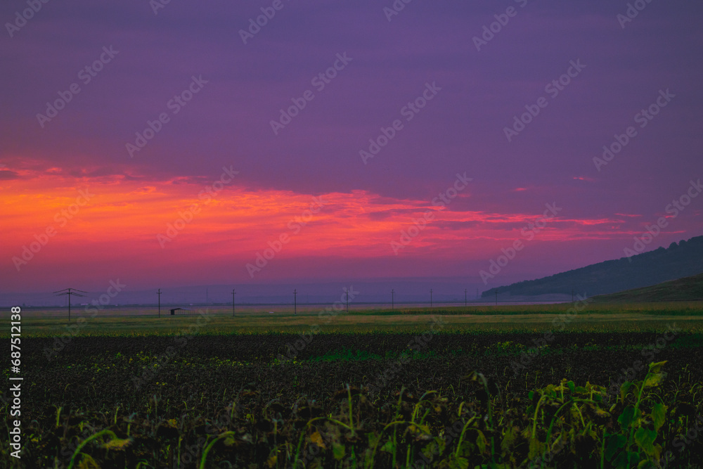 Colorful sky and land, waves of grass and trees, warm light shinning over the beautiful Earth Colorful sky and land, waves of grass and trees, warm light shinning over the beautiful Earth