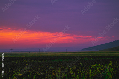 Colorful sky and land, waves of grass and trees, warm light shinning over the beautiful Earth