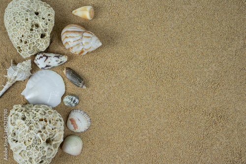 pile of sea shells on clean beach sand. Close up, beach sand texture