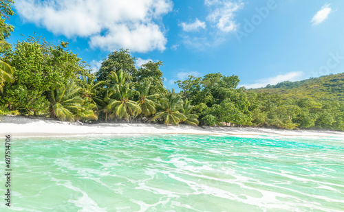 Turquoise water and palm trees in a tropical island
