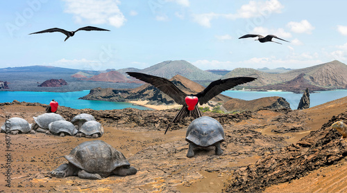 Panorama der Galapagos Insel Bartolome mit Felsnadel Pinnacle Rock und Prachtfregattvogel und Riesenschildkröte photo