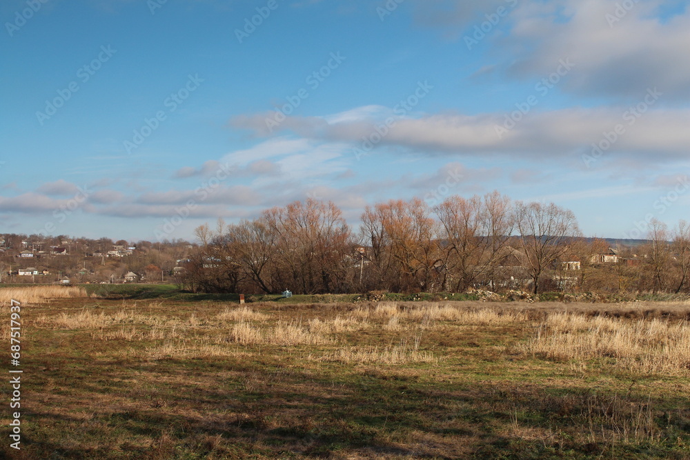 A field with trees and houses
