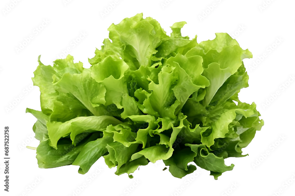 Isolated Bright Photo of Fresh Green Lettuce Bunch on Transparent White Background, Representing Healthy Eating and Organic Produce, Capturing Vibrant Nutrition in a Wholesome Image Isolated Bright Photo of Fresh Green Lettuce Bunch on Transparent White Background, Representing Healthy Eating and Organic Produce, Capturing Vibrant Nutrition in a Wholesome Image