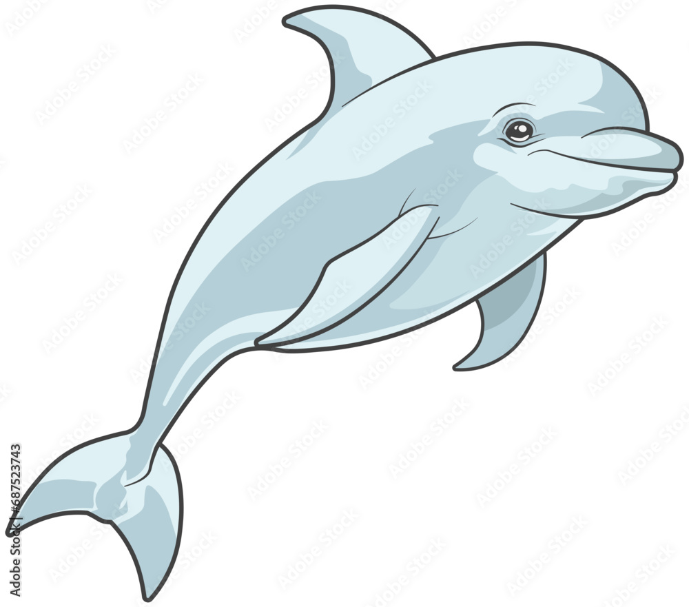 Obraz premium dolphin drawing without background