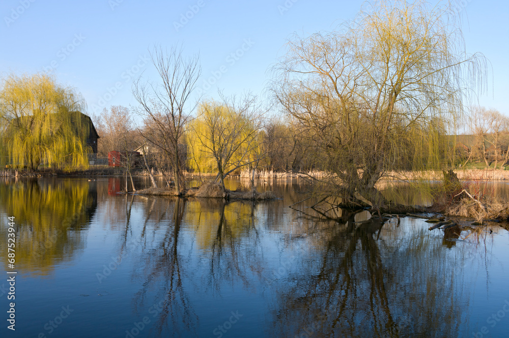 pond reeds willow trees and reflections at nature center in west saint paul minnesota pond reeds willow trees and reflections at nature center in west saint paul minnesota