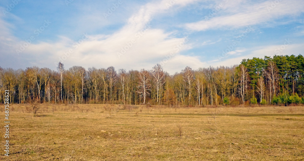 Obraz premium A landscape photo captures a field with dry grass, trees lining the horizon under a blue sky with clouds.