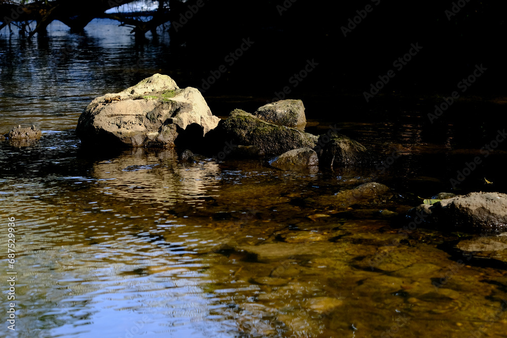 Fototapeta premium Beautiful landscape in an evening mood by the water in the sunshine.