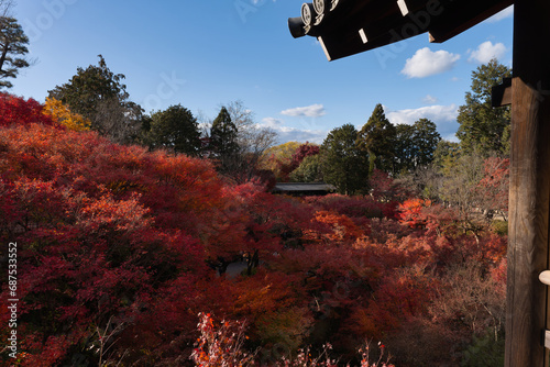 京都東福寺境内の紅葉