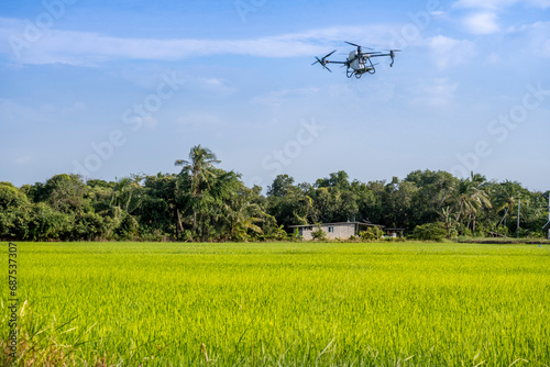 Tablou pe pânză Agricultural drones fly to sprayed Herbicide in rice fields
