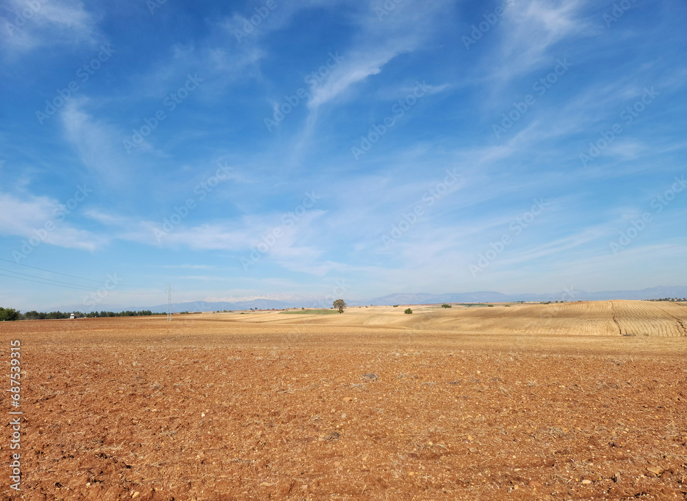 A farmland has been prepared for sowing winter wheat in December in Mediterrean region