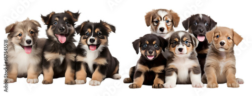 Smiling puppies on white background, PNG, transparent background, Generative Ai