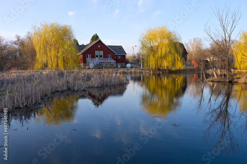 pond bordered by wetlands and tall reeds with red farm building and willows at nature center