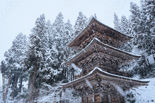 winter © 康文 大地