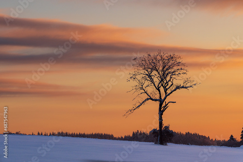 Winter bei Tuttlingen  © Volker Loche