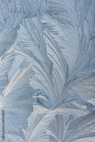 Ice flowers emerge on a window pane after a cold night in winter