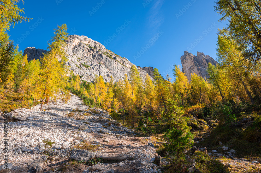 Wide-angle image of a rocky mountainous terrain with golden larch trees on a sunny October day in the Ampezzo Dolomites, Italy Wide-angle image of a rocky mountainous terrain with golden larch trees on a sunny October day in the Ampezzo Dolomites, Italy