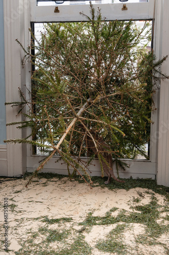 After Christmas: the tree going out of the window