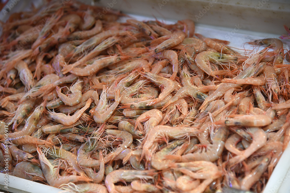 frischer Fisch auf Fischmarkt in Izmir