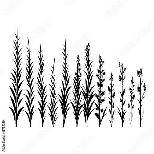 Fototapeta Naklejka Na Ścianę i Meble -  Vector Illustration of Grass