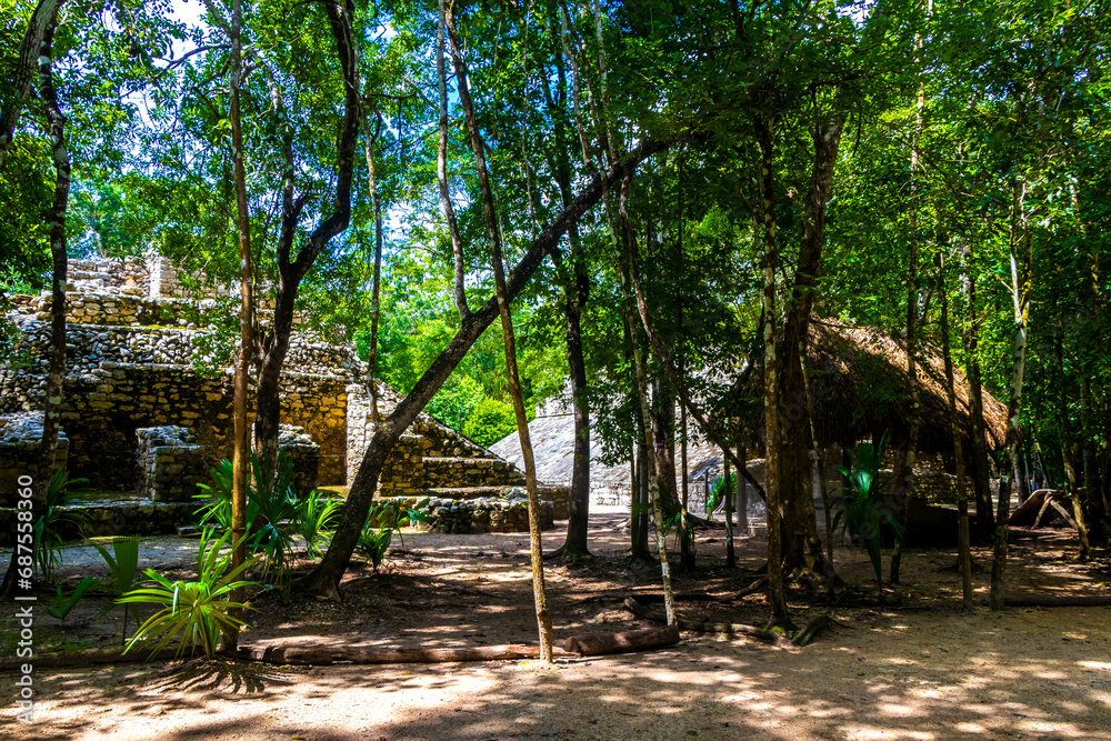 Coba Maya Ruins pyramids and ball game tropical jungle Mexico. Coba Maya Ruins pyramids and ball game tropical jungle Mexico.