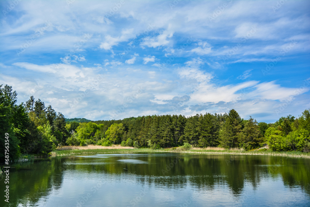 lake and forest