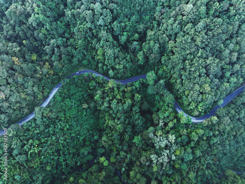 Road in the middle of the forest , road curve construction up to mountain, Rainforest ecosystem and healthy environment concept	
 photo