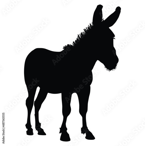 donkey silhouette isolated on white photo